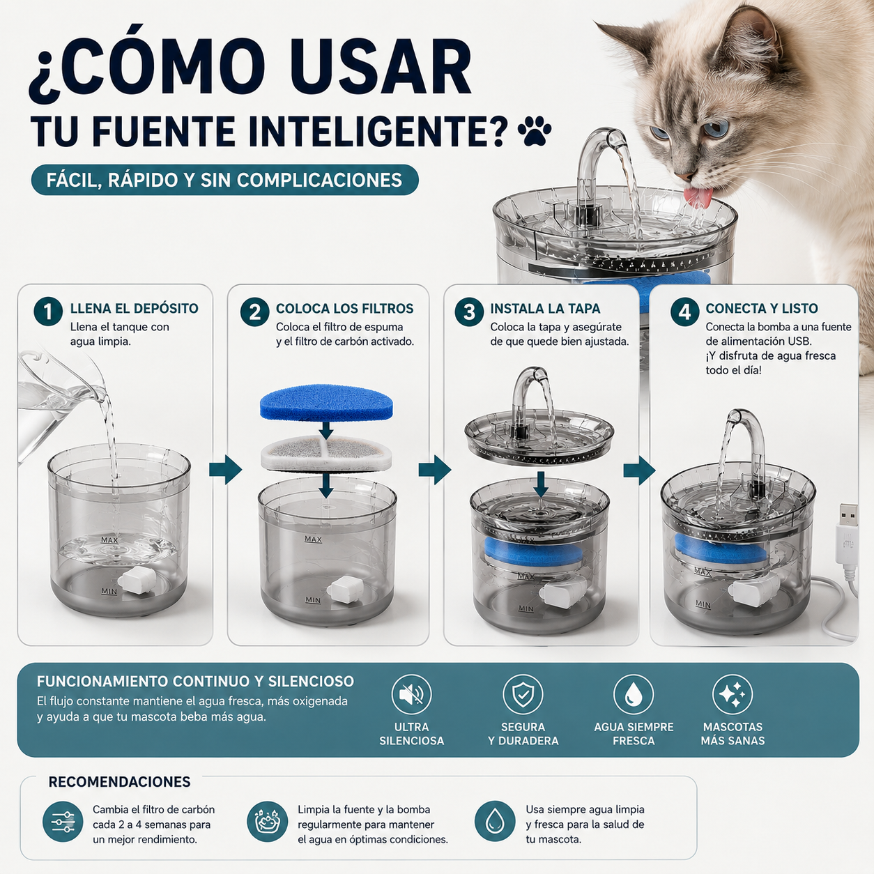 Bebedero Fuente Para mascota